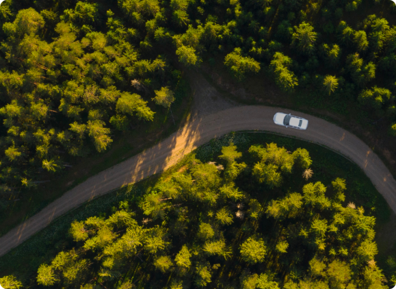 auto nel bosco vista dall'alto