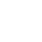 icona password